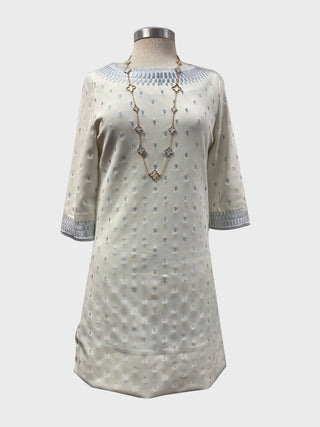 Metallic Dot Embroidered Dress - Pooja Boutique 